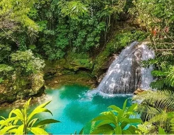 Combined Dunn’s River Falls Blue Hole & white river rafting