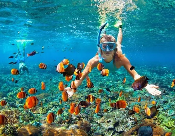 Snorkeling Activity with Boat Ride in Mont ego Bay